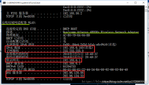 Xshell 免费版问题排查指南：下载安装、授权与使用全解析